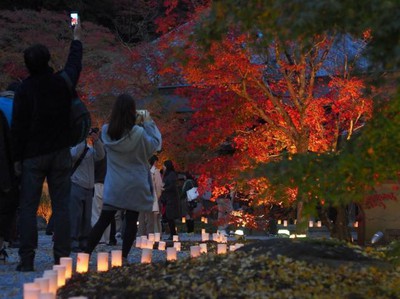 大本山 永源寺 ライトアップ 滋賀県 の情報 ウォーカープラス