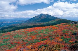 岩手県のイベント情報一覧 明日 16件 ウォーカープラス