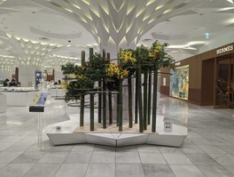 ダイナミックな作品をはじめ、さまざまな意匠のいけばなを楽しめる(画像は過去の東京展のもの)