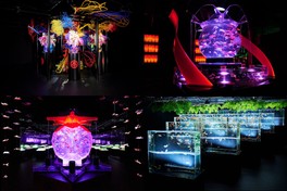 全20作品が展示される