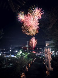 夏の海に色彩豊かな花火が舞い上がる