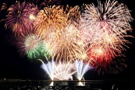 色鮮やかな花火が夜空を染め上げる