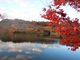 鮮やかな紅葉がダム湖に映り込む