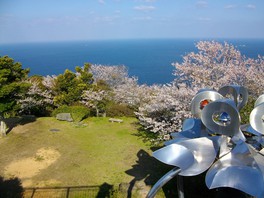 大海原と桜のコントラストが美しい