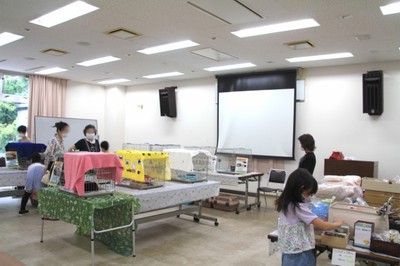 猫の譲渡会 In 花の文化園 6月 大阪府 の情報 ウォーカープラス 猫の譲渡会 In 花の文化園 6月 大阪府 の情報 ウォーカープラス