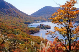 紅葉が湖畔から山頂まで覆いつくす