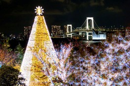 東京湾の夜景とレインボーブリッジを背景に望む ※画像はイメージ