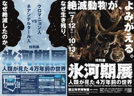 氷河期の謎と氷河期時代を生きた人類や動物たちの謎をひもとく