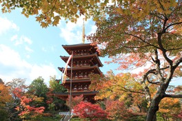 青い空と赤黄色に染まる紅葉が建物に花を添える