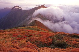 ダイナミックな山並みを紅葉が赤く染め上げる