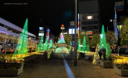 駅前広場には「KICHIJOJI FOREST」と題する光の森が出現