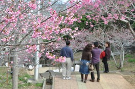 沖縄県のお祭り情報一覧 3件 ウォーカープラス