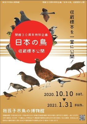 鳥の博物館 開館30周年特別展示 日本の鳥 千葉県 の情報 ウォーカープラス