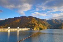 奥多摩湖の岸辺を覆うように広がる紅葉