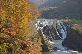 無数の滝と紅葉が織りなす光景