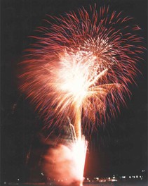 夜空を華やかに彩る花火
