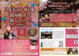 円覚寺山内佛日庵 假屋崎省吾 桜をいける！～飛翔繚乱～(神奈川県)の