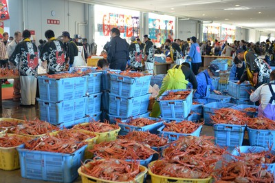 台風のため中止 新湊カニかに海鮮白えびまつり 富山県 の情報 ウォーカープラス