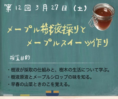 野人と魔女の学校 第12回 メープル樹液採りとメープルスイーツ作り 長野県 の情報 ウォーカープラス
