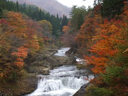 渓流のせせらぎに耳を澄ましながら紅葉を眺められる