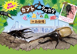 お台場海浜公園駅 東京都 周辺のイベント情報一覧 6件 ウォーカープラス