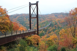 吊橋から眺める360度パノラマの紅葉は圧巻
