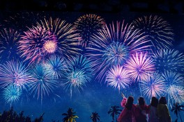 極彩の花が夜空に咲く圧巻の花火ショー