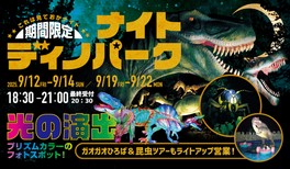 暗い森の中で幻想的に光る恐竜の姿を楽しめる