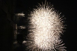 3000発の豊富な花火が演出に合わせて咲き誇る