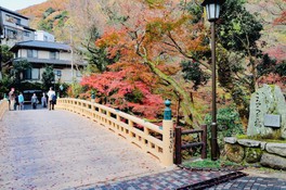 新生こおろぎ橋を彩る赤黄色のモミジ