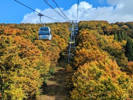 ゴンドラから眼下に広がる絶景を楽しむ
