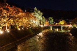 秋の中橋ライトアップ 岐阜県 の情報 ウォーカープラス