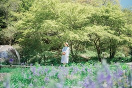 さまざまな花に囲まれた初夏のガーデン