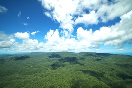 「やんばるの森」で暮らす生き物の声をBGMに、満天の星を眺めることができる