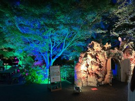 色鮮やかな光で彩られた夜の動物園が楽しめる