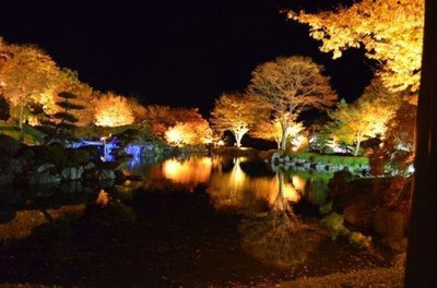 桜山公園ライトアップ 群馬県 の情報 ウォーカープラス