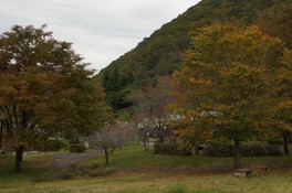 自然公園が紅葉に彩られる