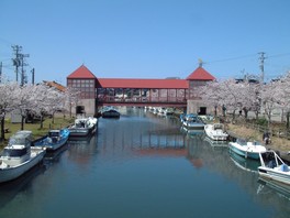 風情あるお濠や水面の桜を遊覧船から眺めることができる