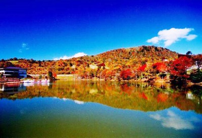 紅葉 見ごろ 茶臼山高原 愛知県 の情報 ウォーカープラス