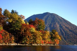 雄大な男体山を背景に、紅葉した木々が美しく林立する