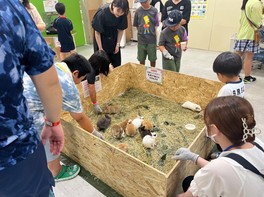 「もふもふ」ふれあいゾーンでたくさんの小動物が出迎えてくれる