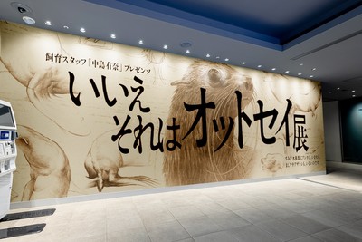 いいえそれはオットセイ展