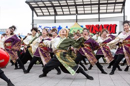 全国からYOSAKOIチームが集結