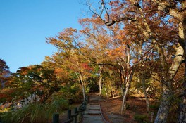 庭園には散策路が用意され散歩を楽しみながら紅葉を鑑賞できる