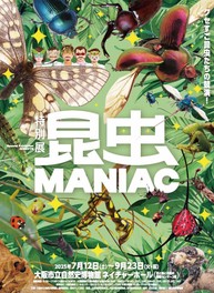 昆虫および昆虫をはじめとする陸生の節足動物が大集合