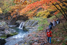 渓谷美と紅葉が同時に楽しめる