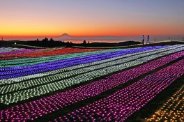 千葉県のイベント情報一覧 明日 43件 ウォーカープラス