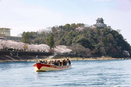 犬山城遊覧船 中止となりました 愛知県 の情報 ウォーカープラス