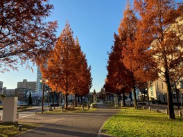 浜松市のシンボルとなっているアクトタワーから続く通り