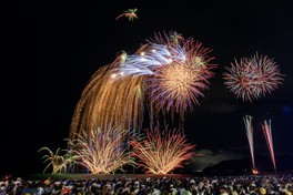 花火のまばゆい光が夜空を照らし轟音がこだまする